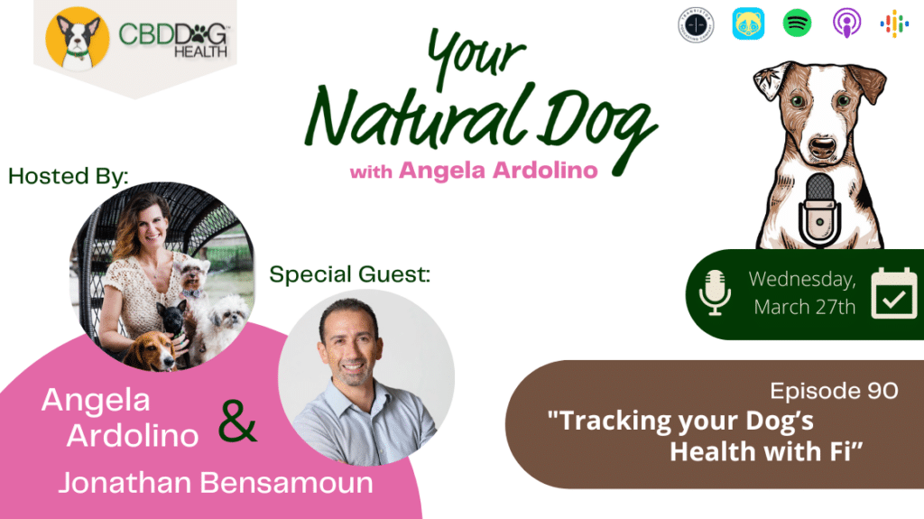 Tracking your dog's health with Fi founder Jonathan Bensamoun on Your Natural Dog Podcast with Angela Ardolino