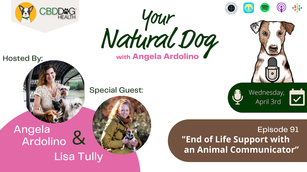 End of Life support with animal communicator Lisa Tully on Your Natural Dog Podcast