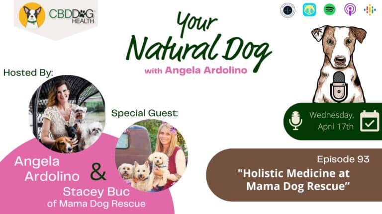 Holistic Medicine at Mama Dog Rescue with Stacey Buc on Your Natural Dog Podcast