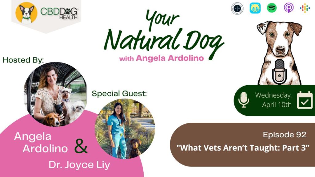 What Vets Aren't Taught part 3 with Dr. Joyce Liy on your natural dog podcast