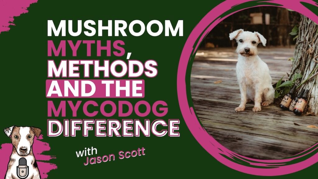 Mushroom myths, methods and the mycodog difference with mycologist spagyricist mycoalchemist Jason Scott on Your Natural Dog Podcast