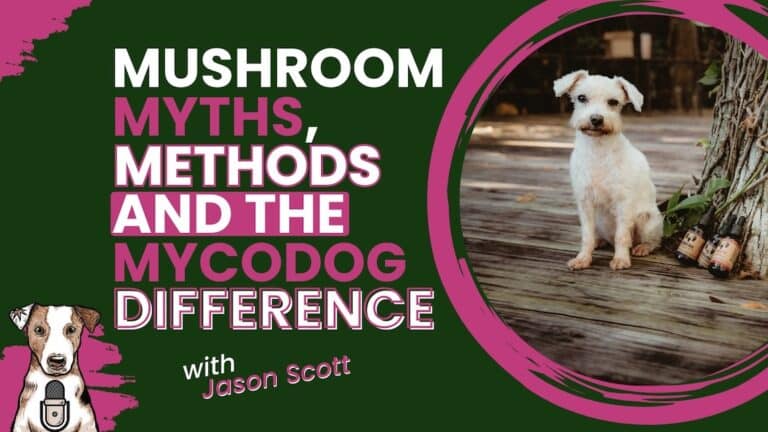 Mushroom myths, methods and the mycodog difference with mycologist spagyricist mycoalchemist Jason Scott on Your Natural Dog Podcast
