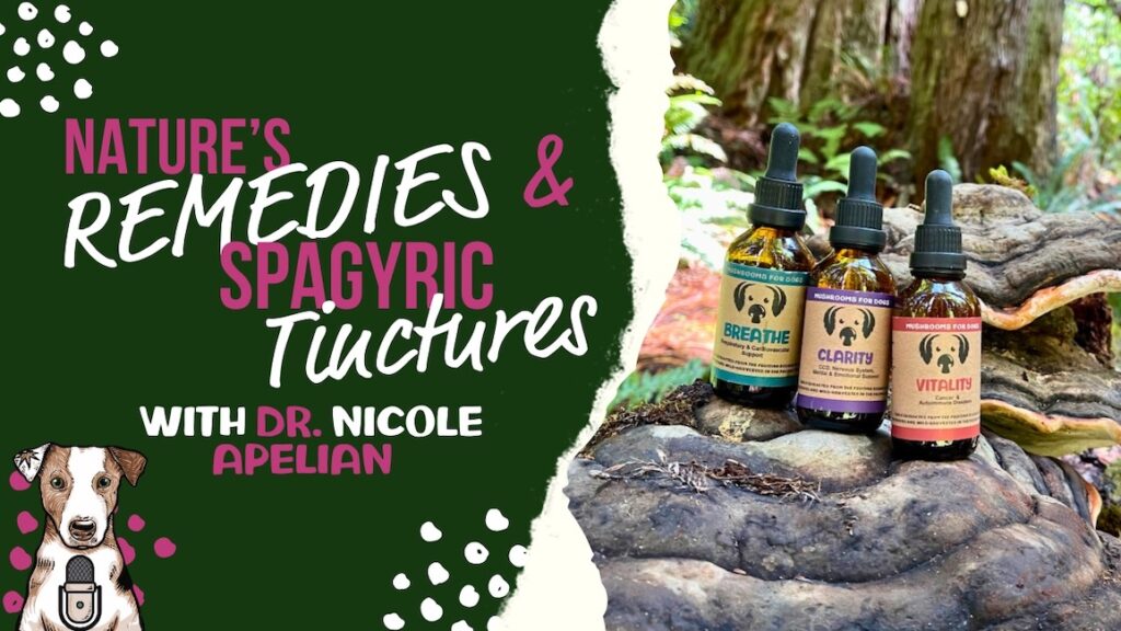 Nature's Remedies and Spagyric Tinctures with Dr. Nicole Apelian on Your Natural Dog Podcast