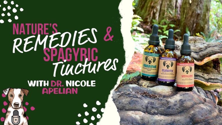 Nature's Remedies and Spagyric Tinctures with Dr. Nicole Apelian on Your Natural Dog Podcast