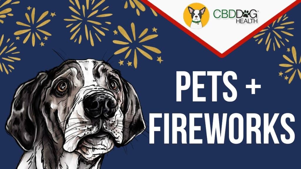 CBD for fireworks anxiety in dogs scared of fireworks stress fear noise anxiety natural remedies july 4