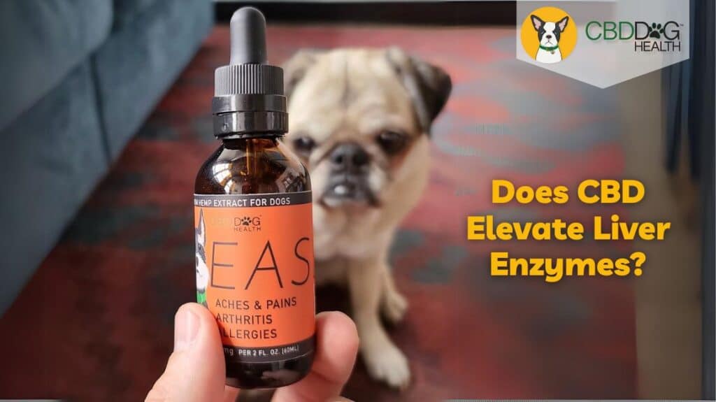 Does CBD elevate liver enzymes? CBD & liver toxicity, Is CBD safe for dogs?