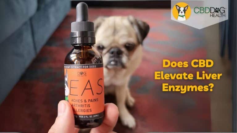 Does CBD elevate liver enzymes? CBD & liver toxicity, Is CBD safe for dogs?