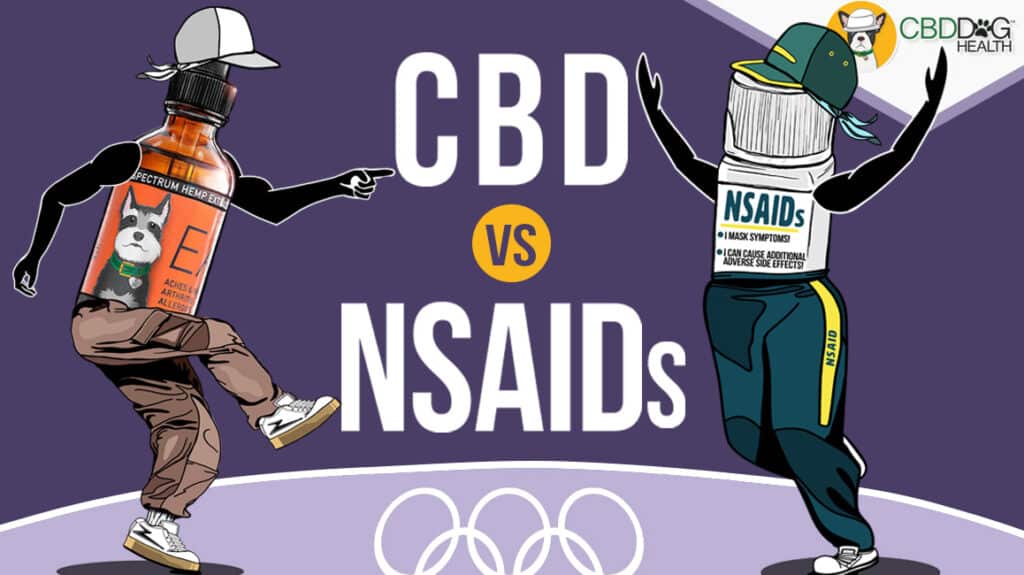 CBD vs NSAIDs for dog pain relief inflammation Can dogs have aspirin for pain Can dogs have nsaids Can i give my dog an aspirin