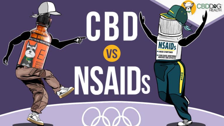 CBD vs NSAIDs for dog pain relief inflammation Can dogs have aspirin for pain Can dogs have nsaids Can i give my dog an aspirin