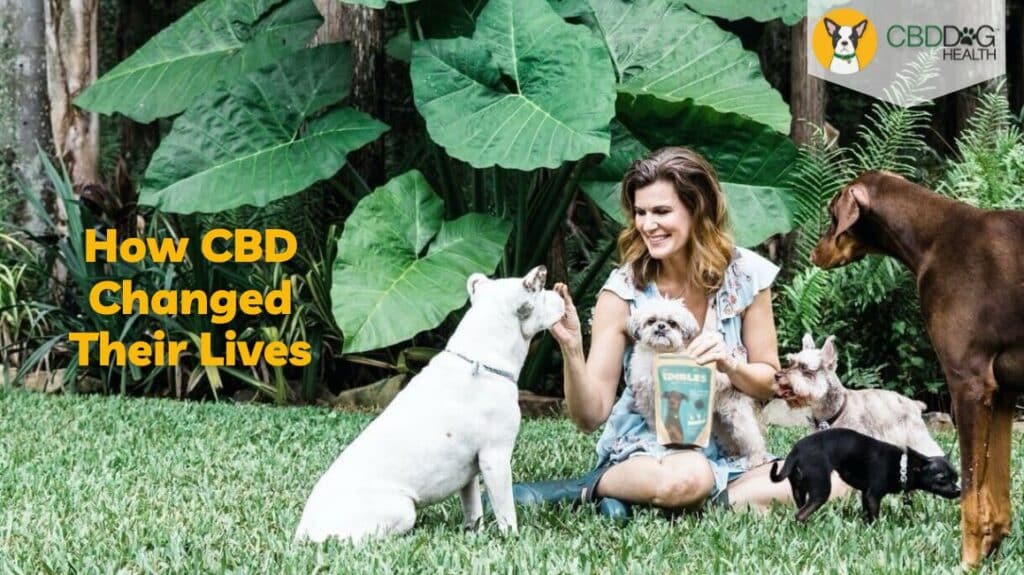 How CBD Changed their lives, CBD for dogs reviews success stories CBD testimonials CBD for dogs pets cats changing lives