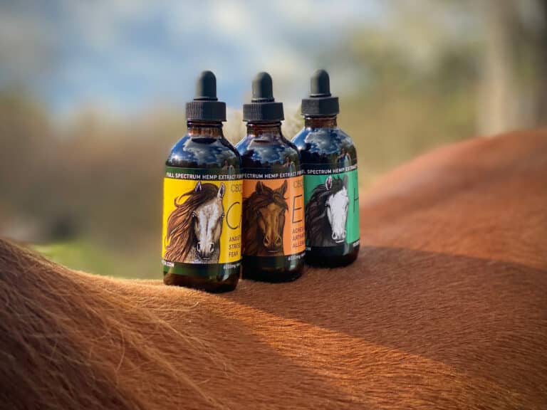 CBD oil for horses - CBD tinctures on Horse Back