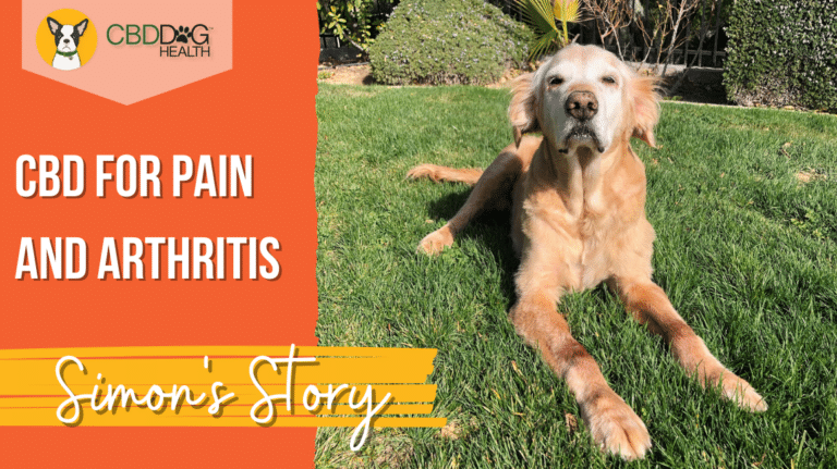 Simon's Story with CBD