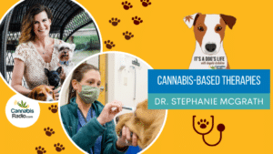 Podcast with Dr. Stephanie McGrath