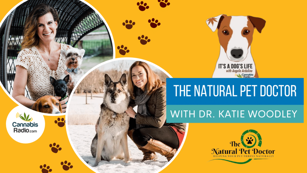 The Natural Pet Doctor with Founder Dr. Katie Woodley