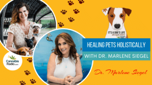 Healing Pets Holistically with Dr. Marlene Siegel