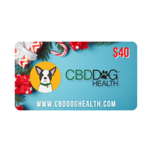 Christmas Gift Card 40