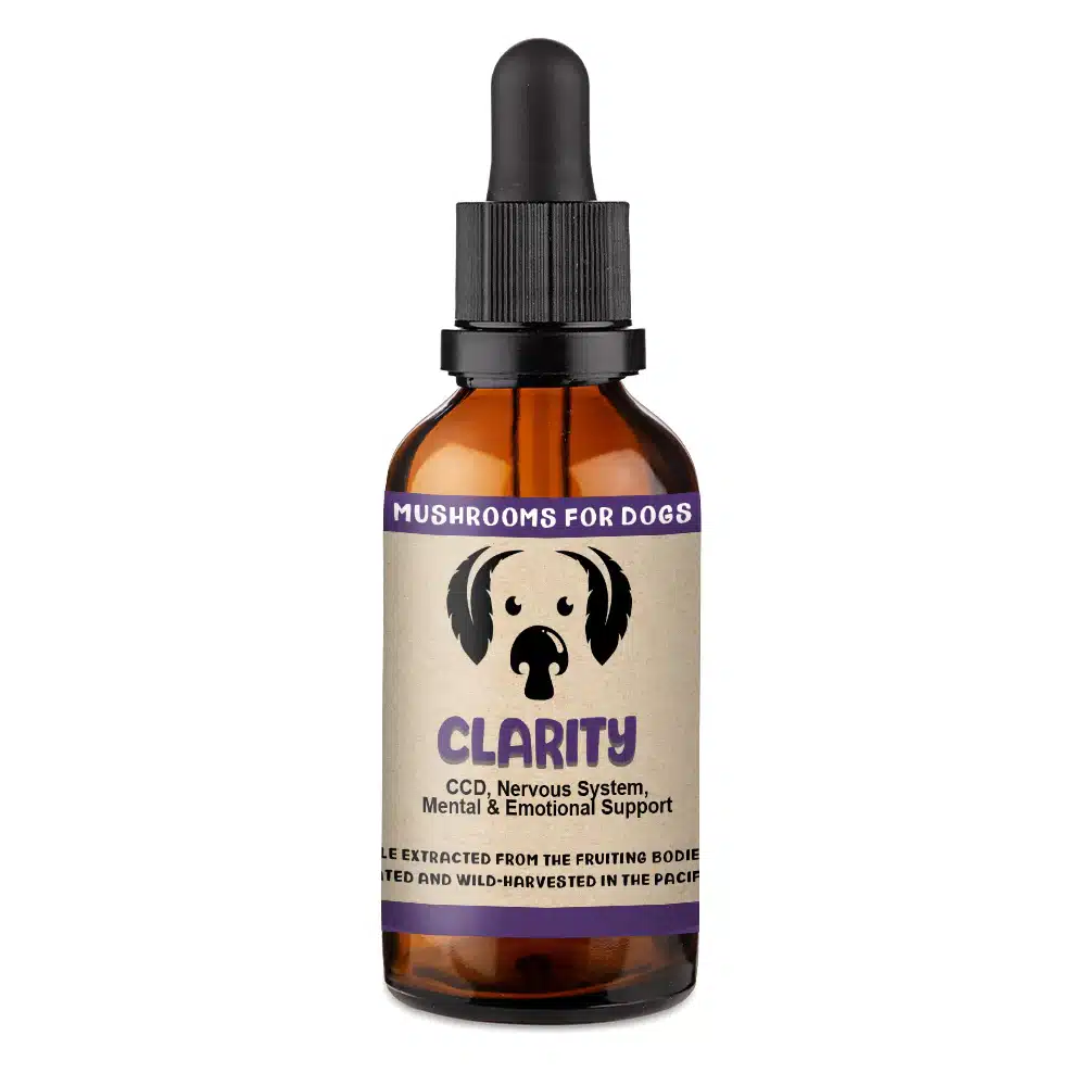 clarity mushrooms for dogs mushroom extract for dogs CCD dementia nervous system brain support senior dogs