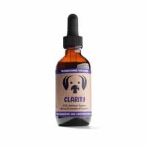 MycoDog Clarity mushroom extract and adaptogen blend for dogs mushrooms for senior dog supplement ccd dementia cognitive decline