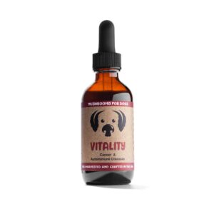 MycoDog Vitality mushroom extract and adaptogen blend for dogs with cancer, autoimmune disease, immune support