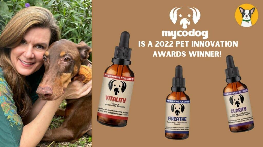 mycodog mushrooms natural dog supplement of the year pet innovation award best natural dog supplement