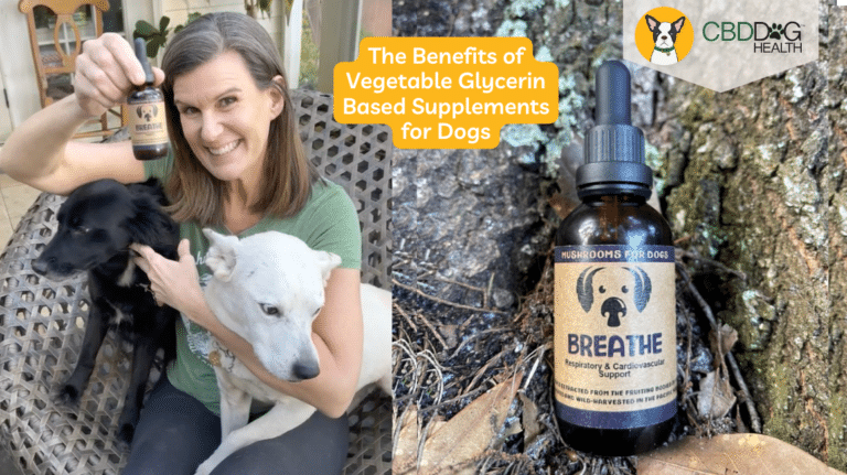 is vegetable glycerin safe for dogs benefits of vegetable glycerin for dogs what is vegetable glycerin