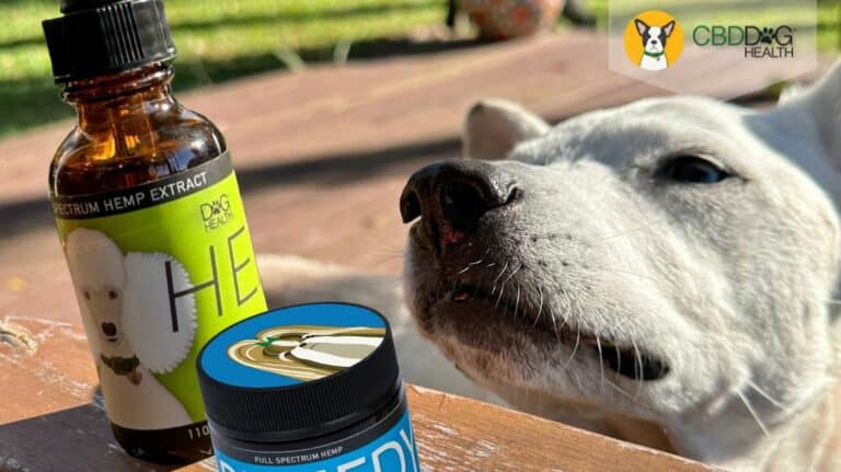 Sebaceous Adenomas in dogs cbd for adenomas hemp for adenomas power duo heal and remedy cbd dog health