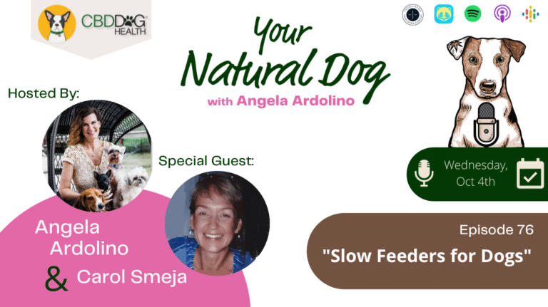 Slow Feeders for Dogs Mine Pet Platter Your Natural Dog Podcast