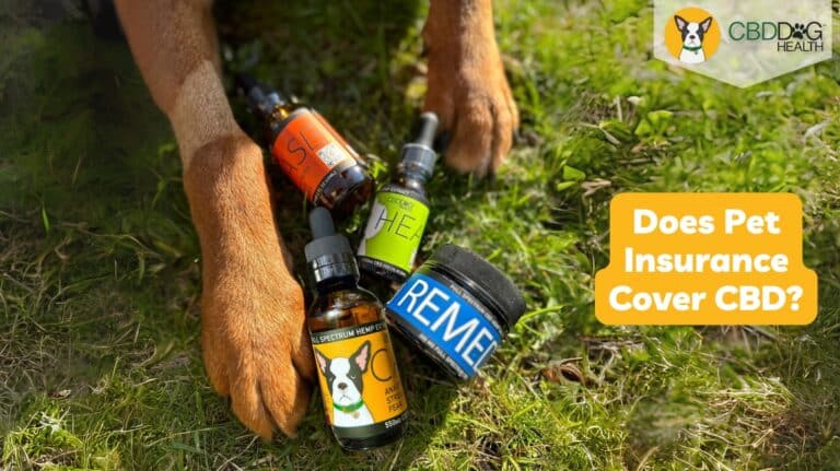 Does Pet Insurance Cover CBD for Pets Can CBD be covered by insurance pet CBD insurance coverage for pets