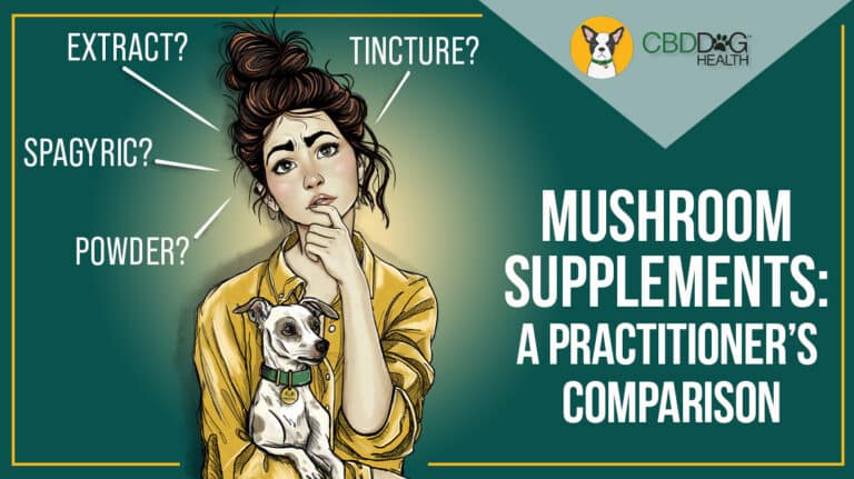 mushroom extract tinctures vs powders mushroom supplements for dogs pet mushroom extracts