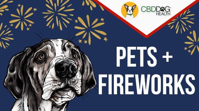 CBD for fireworks anxiety in dogs scared of fireworks stress fear noise anxiety natural remedies july 4