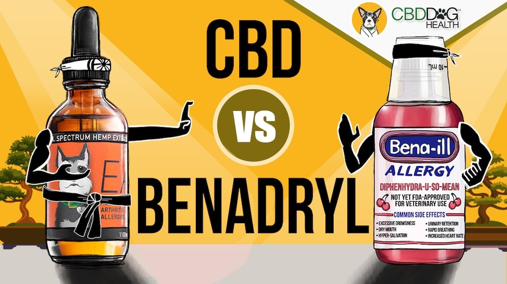 Natural Alternative to Benadryl for dogs, Benadryl vs CBD for dog allergies, is benadryl safe for dogs?