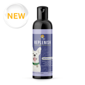 Replenish CBD Dog Shampoo with Organic Lemongrass & Aloe – Natural Flea & Tick Protection & skin microbiome support