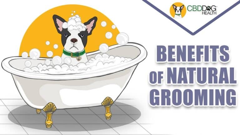 Benefits of Natural Grooming Products for Dogs Natural ingredients natural dog shampoo for dogs