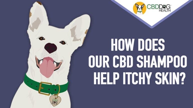 CBD Shampoo for dogs with itchy skin dry skin allergies dermatitis natural dog shampoo